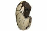 Free-Standing, Polished Septarian Geode - Black Crystals #196261-1